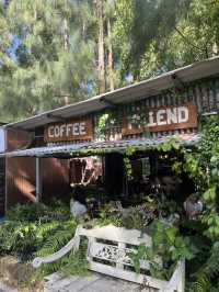 🌿 Lan Ve La Phuket — คาเฟ่ในสวนบรรยากาศดีสุด ๆ 🍃
