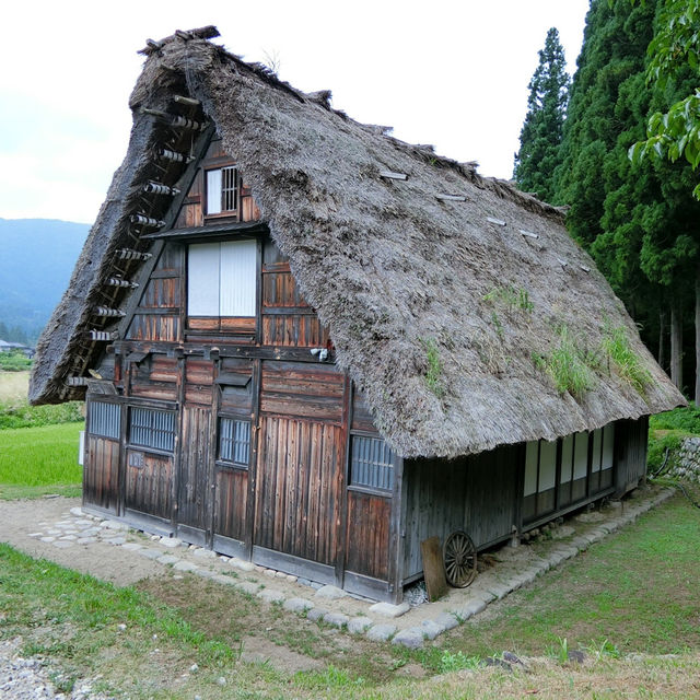 無人不曉的世界文化遺產一白川鄉合掌造