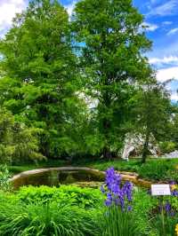 🌿 Linz Botanical Garden – Nature’s Tranquil Corner in the Heart of the City