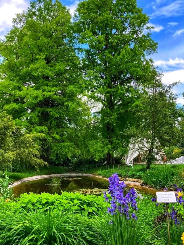 🌿 Linz Botanical Garden – Nature’s Tranquil Corner in the Heart of the City