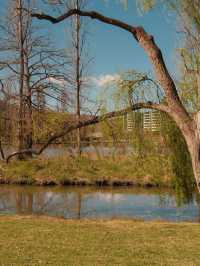 Canberra Floriade 花卉節 2025｜免費入場打卡夢幻花海