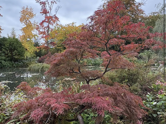Claude Monet's House and Gardens - Giverny
