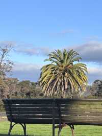 🏛️ Rotorua Government Gardens: Where Tudor Elegance Meets Māori Earth! 🌿