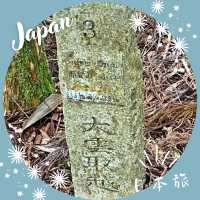 【和歌山】熊野古道🌄中辺路 ― 大雲取越の壮大な山道