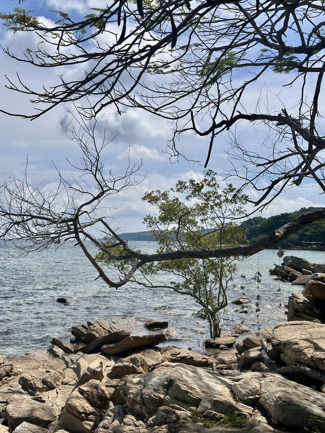 อ่าวไผ่ 📍เกาะเสม็ด ✨🏖️