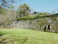 The Volcano's Shadow: My Return to Kagoshima Castle