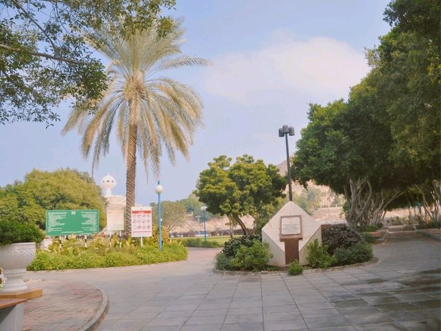 🇴🇲오만 무스카트 가볼만한 곳! 파인애플 미끄럼틀이 있는 리얌 공원🍍