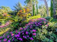 Sun Gardens