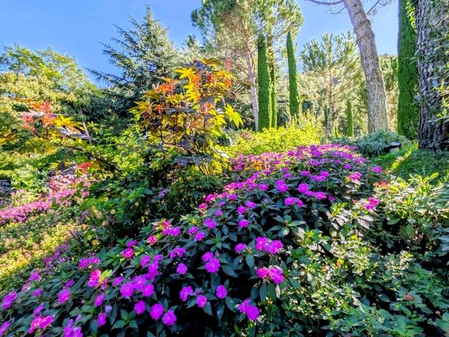 Sun Gardens