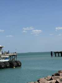 【オーストラリア・ダーウィン】都会のオアシスでくつろぐ「Artificial and Public Beach」🏖️🌞