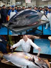 🐠🐟 ตลาดปลาทูน่า….วัตถุดิบสดใหม่จากทะเล🌊
