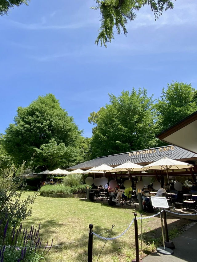🌿 Lunch with a View at EVERYONESCAFE