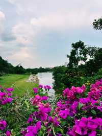 Tranquil Evenings at Taman Tasik Cyberjaya