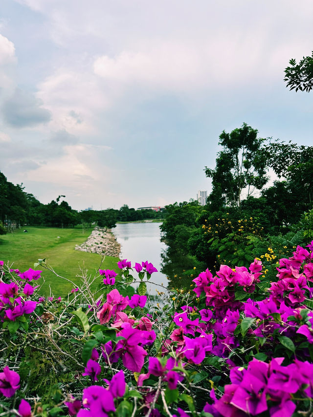 Tranquil Evenings at Taman Tasik Cyberjaya