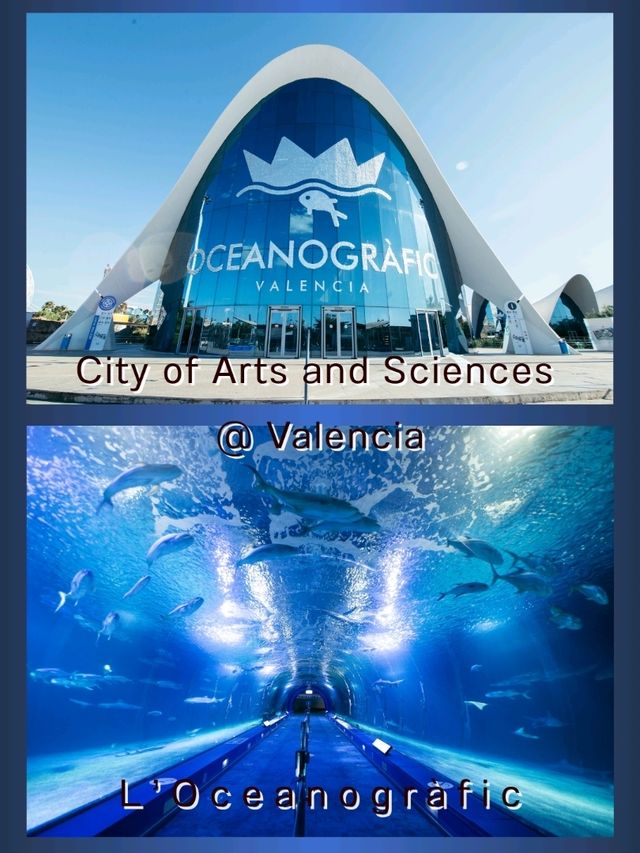 City of Arts and Sciences @ Valencia