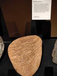 Nature’s Masterpiece: The Stones That Time Painted