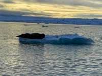 ❄️ Vatnajökull National Park – Iceland’s Frozen Wonderland 🇮🇸