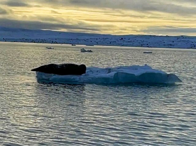 ❄️ Vatnajökull National Park – Iceland’s Frozen Wonderland 🇮🇸