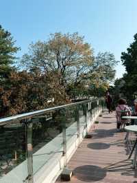 ๊ฒฝ์ฃผ์ฌํ์์ ์ด๊ณณ๋ ํน๋ณํ ์นดํ๊ฐ ๋ฉ๋๋ค! ๋ฐฉ๋ฌธํด๋ณด์ธ์๐