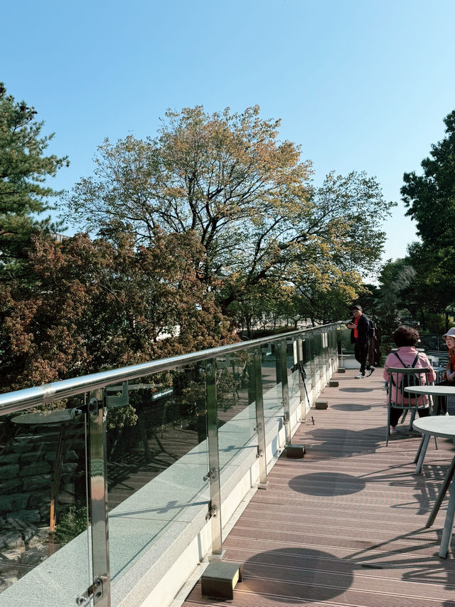 ๊ฒฝ์ฃผ์ฌํ์์ ์ด๊ณณ๋ ํน๋ณํ ์นดํ๊ฐ ๋ฉ๋๋ค! ๋ฐฉ๋ฌธํด๋ณด์ธ์๐ ๊ฒฝ์ฃผ์ฌํ์์ ์ด๊ณณ๋ ํน๋ณํ ์นดํ๊ฐ ๋ฉ๋๋ค! ๋ฐฉ๋ฌธํด๋ณด์ธ์๐