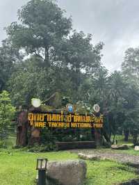 อุทยานแม่ตะไคร้ — สูดอากาศบริสุทธิ์พร้อมเพื่อนขนฟู