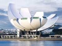 Singapore's Must-See: Dive into Digital Magic at ArtScience Museum! 🖼️💡