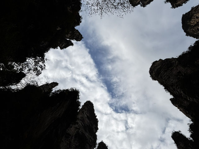 Zhangjiajie National forest park🙌🏼✨🔮 Zhangjiajie National forest park🙌🏼✨🔮