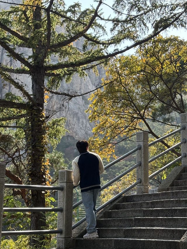 이번에 Trip.com과 함께 칭다오에 다녀왔어요! 🇨🇳