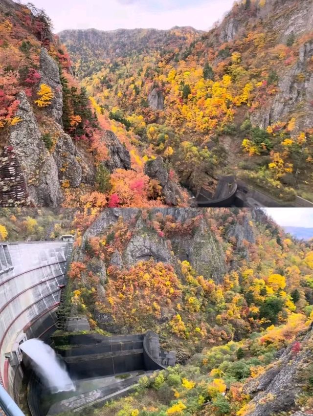 🍁札幌必打卡！深秋豐平峽水庫紅葉絕景全攻略