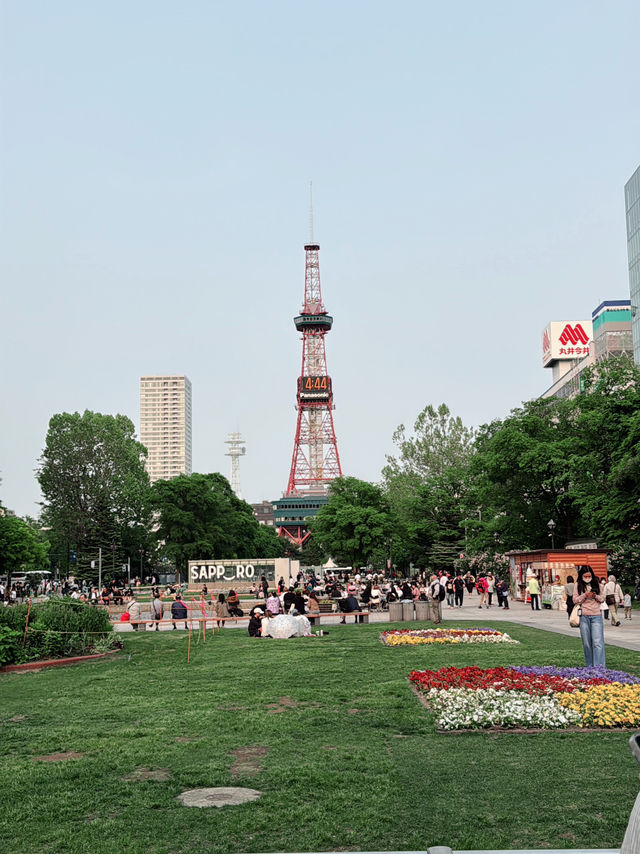 札幌初夏兩日散步：把晴天、海膽與限定 T 都帶回家