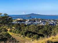 奧克蘭最高嘅火山-超人氣觀景台