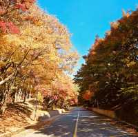 Impeccable Gardens and Architectural Harmony