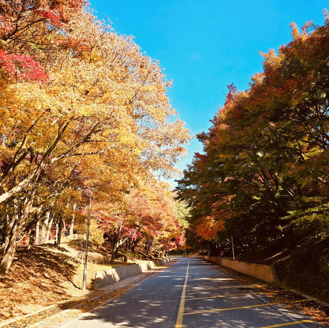 Impeccable Gardens and Architectural Harmony Impeccable Gardens and Architectural Harmony