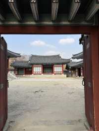 Epic Yongin Photo Ops | Snap Your Next Drama Moment! 📸✨