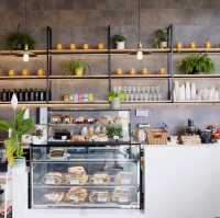 Velvet Whispers & Sugared Light