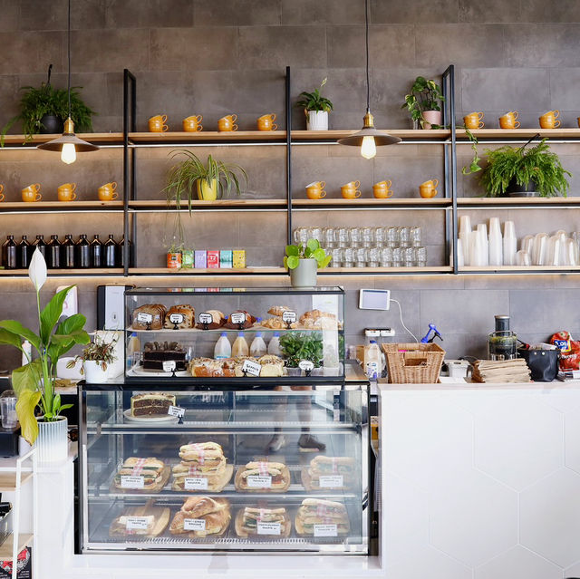 Velvet Whispers & Sugared Light