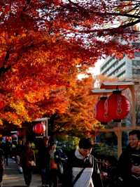 JAPAN AUTUMN 2025
