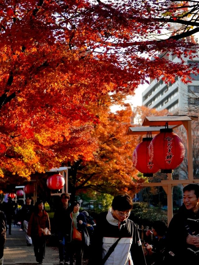 JAPAN AUTUMN 2025 JAPAN AUTUMN 2025