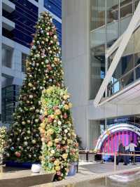 Glacier Grove on Luminous Lane