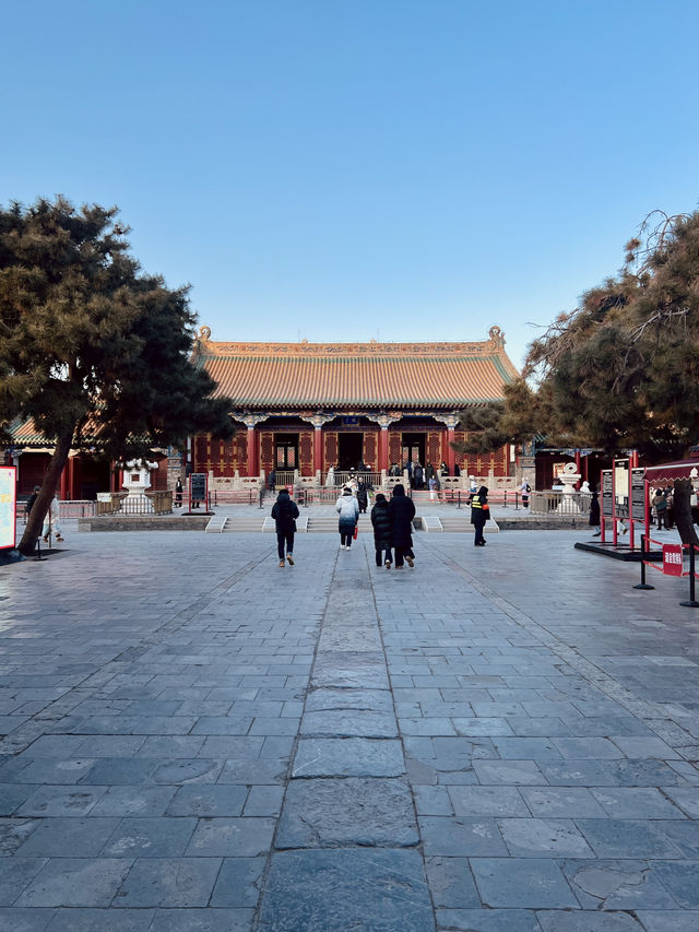 🇨🇳선양 필수 관광명소 선양고궁 방문 꿀팁