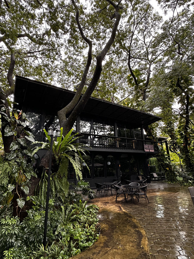 Rainforest Escape🌴 Rainforest Escape🌴