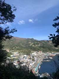 Blue Bridge Magic🌊
