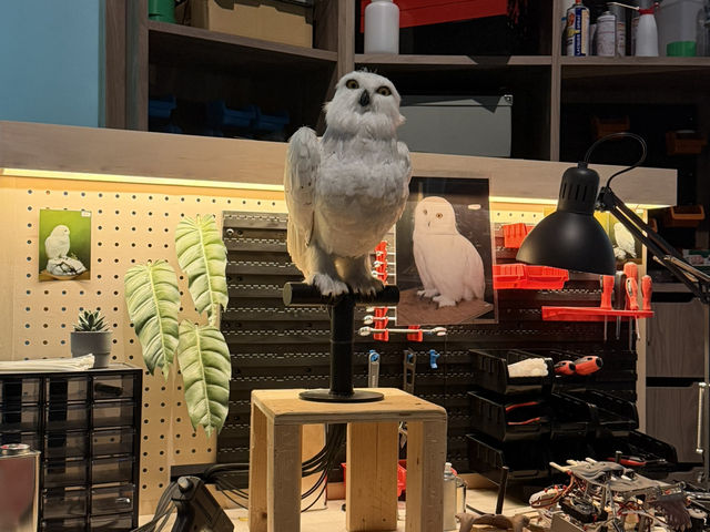 Step Into Magic: Warner Bros Harry Potter Studio Tour, Tokyo 🪄