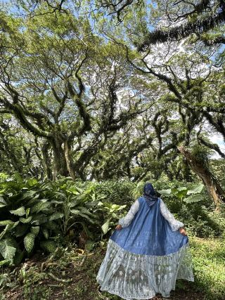 I'm always blown away every time I visit De Djawatan Forest.
