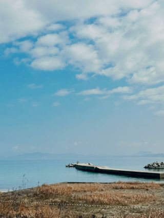 Pet to Your Heart's Content on Japan's Cat Island!