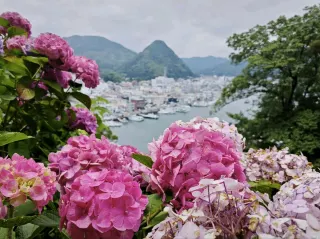 Izu Peninsula Travel Guide 2026: Top Attractions, Things to do