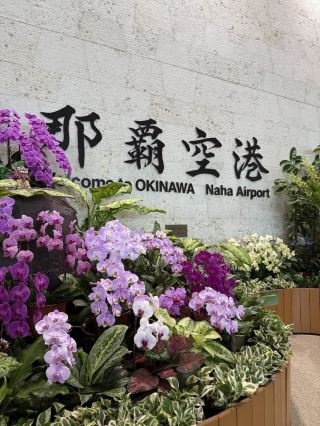那霸🇯🇵 不妨先試試「不租車玩法」