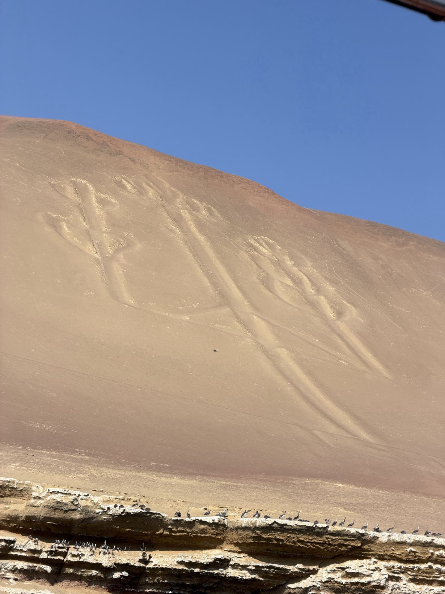 Paracas, một thị trấn của Peru được mệnh danh là "kỳ quan của sa mạc và biển cả"!