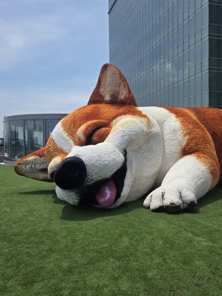 The Dopest New Spot in HK: Mega Sky! The Ultimate Pet-Friendly