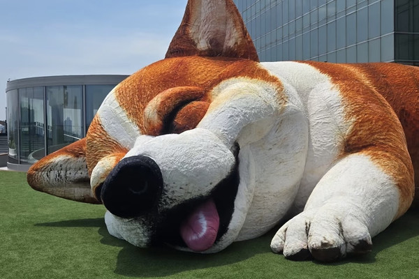 The Dopest New Spot in HK: Mega Sky! The Ultimate Pet-Friendly